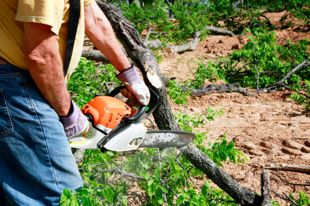 Best Best Tree Removal Services  in Smithville, NJ